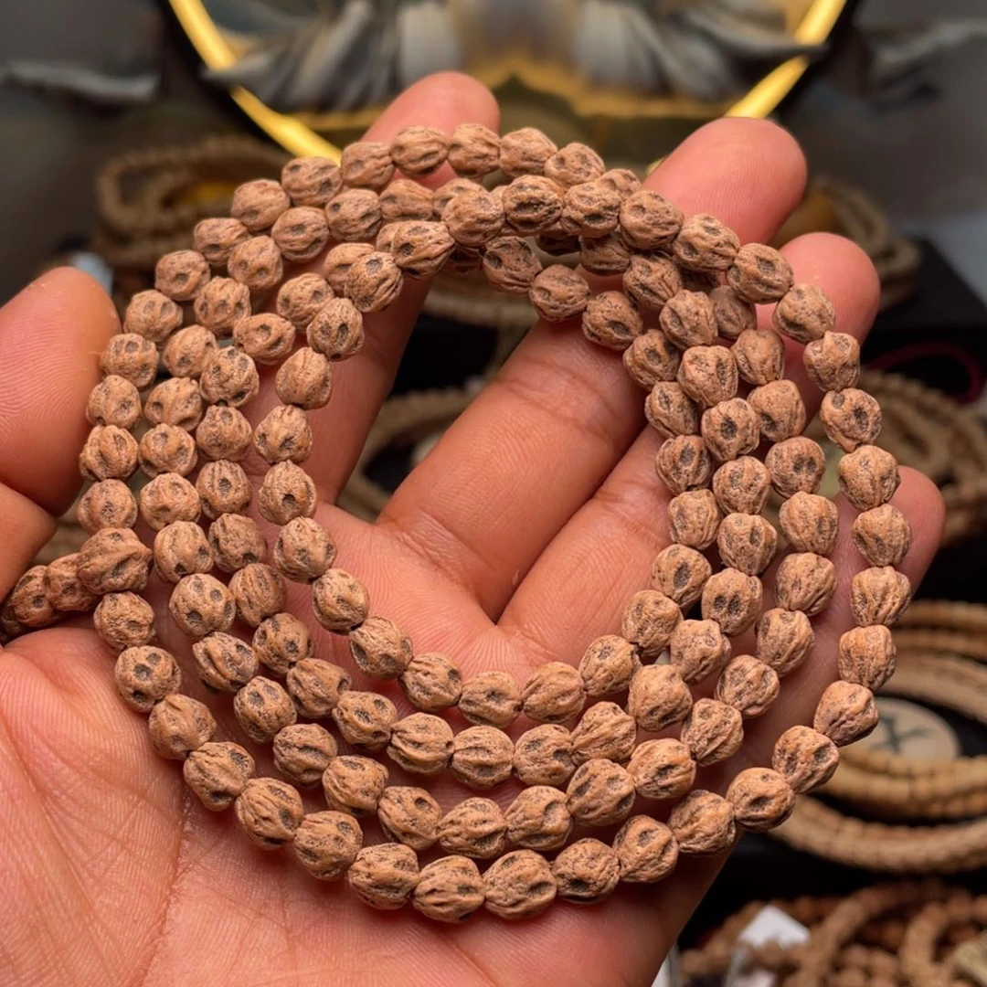 手串柏香籽/百香籽新****蚁