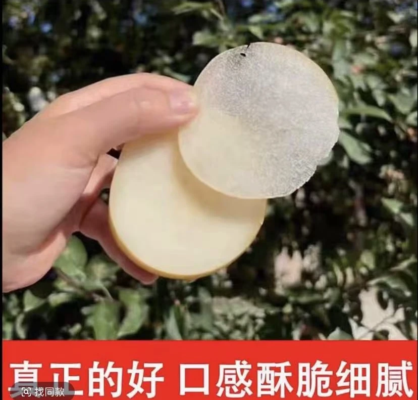 正宗秋月梨新鲜现摘脆甜多汁当季水果