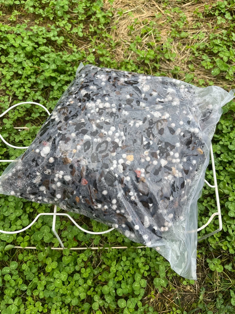 高端精品兰花植料（3公斤)