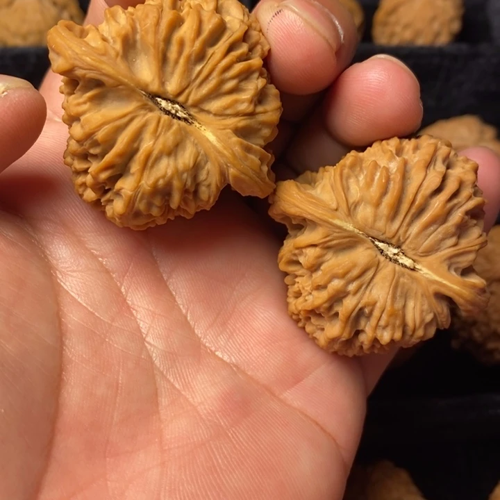 全品南疆石44尺寸