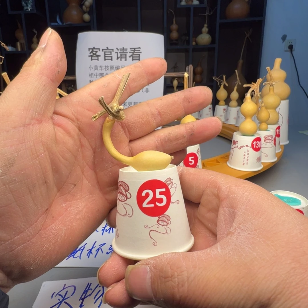 闪电购自助 下单编号25