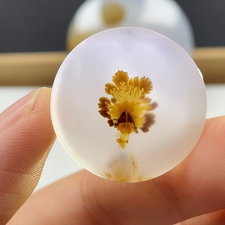 我***菜玛瑙/玉髓未镶嵌颈饰