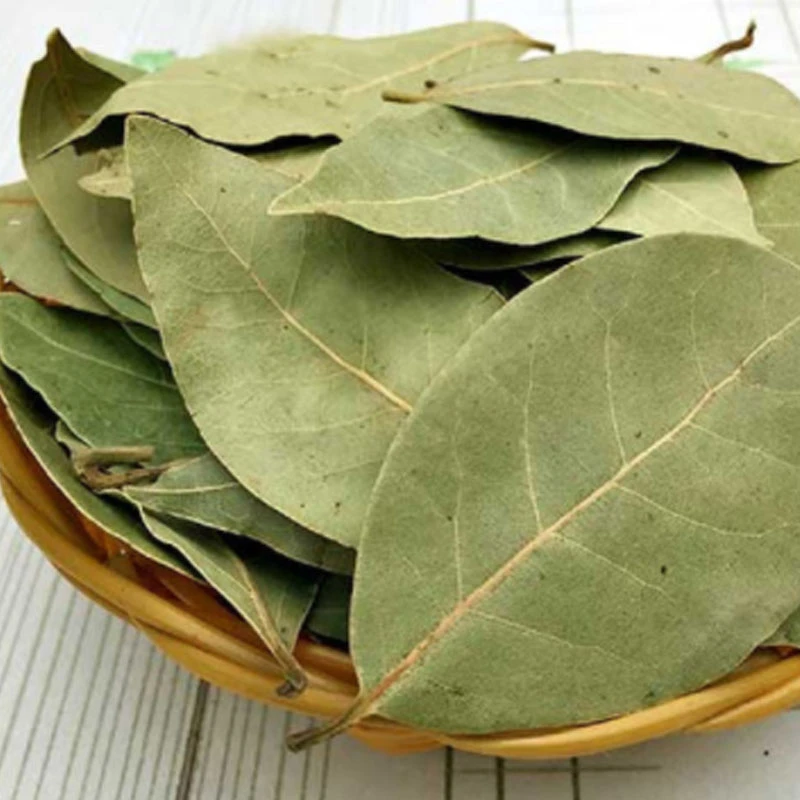 【广西香叶】新货香叶自然晒干优质香叶卤料调味料香辛料100-500g