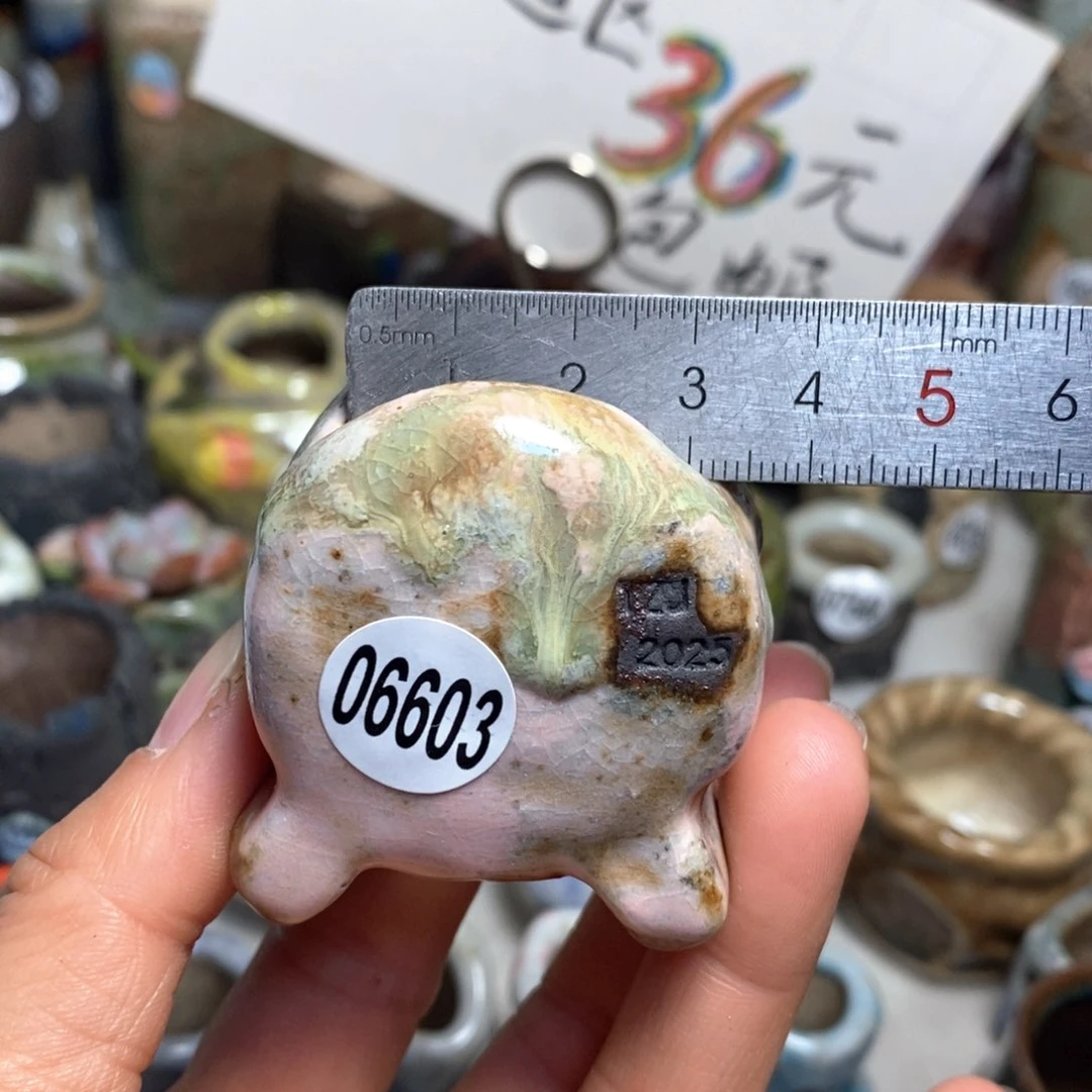 花盆拍3送一个小礼物