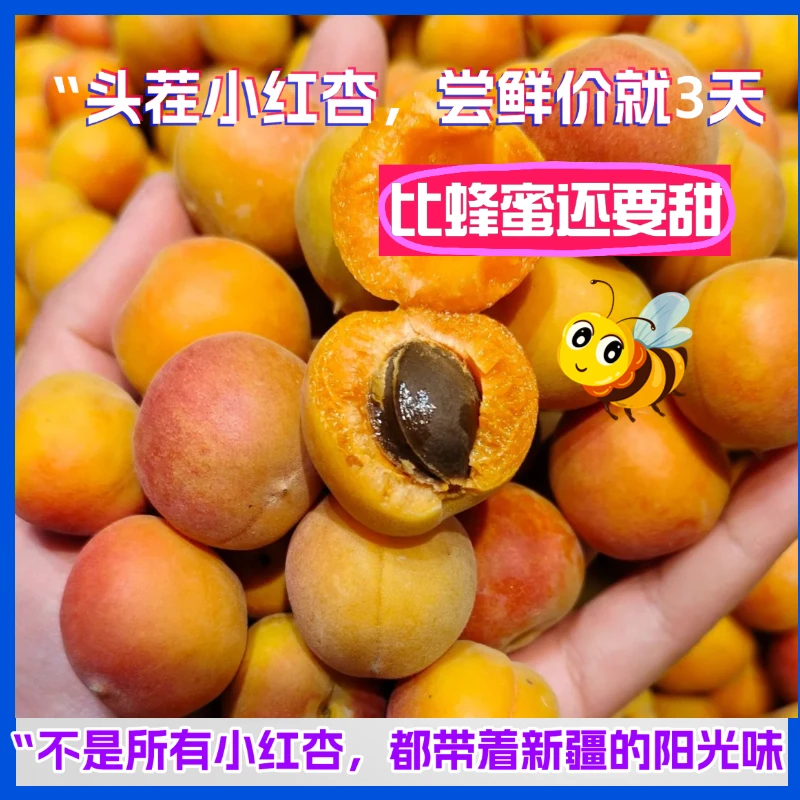 京东空运冷链-包邮正宗新疆阿克苏小红杏新鲜采摘纯甜无酸产地发
