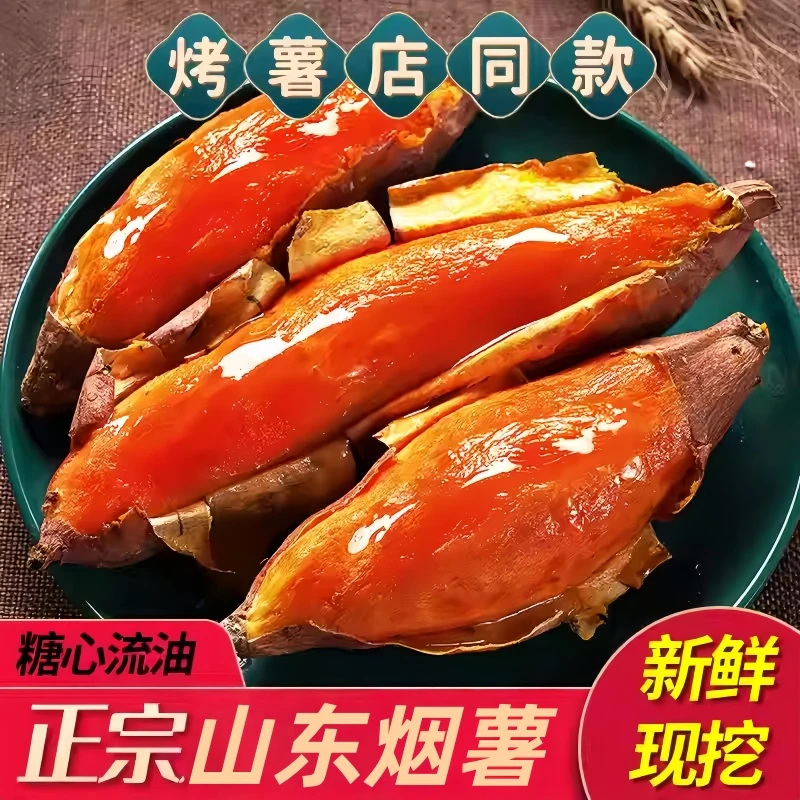 正宗山东烟薯25号糖心流油蜜薯新鲜采摘香甜软糯烤红薯