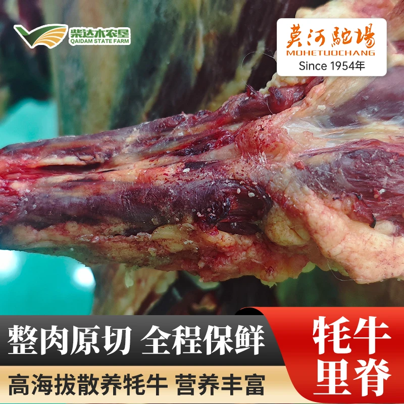 牦牛牛尾草饲草膘青海柴达木农垦莫河驼场