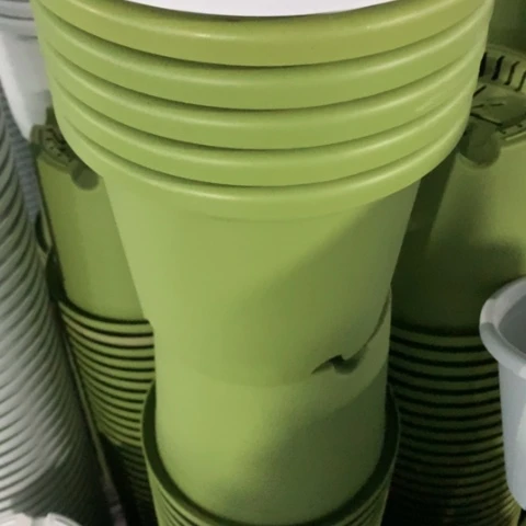 红陶2加果绿无托10个