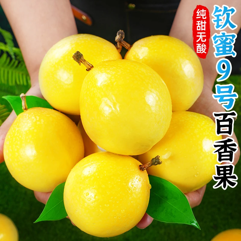 【香甜多汁】钦蜜9号黄金百香果1-5斤新鲜白香果酱原浆纯甜新鲜水果