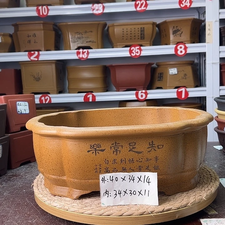 紫砂花盆蛇年大吉
