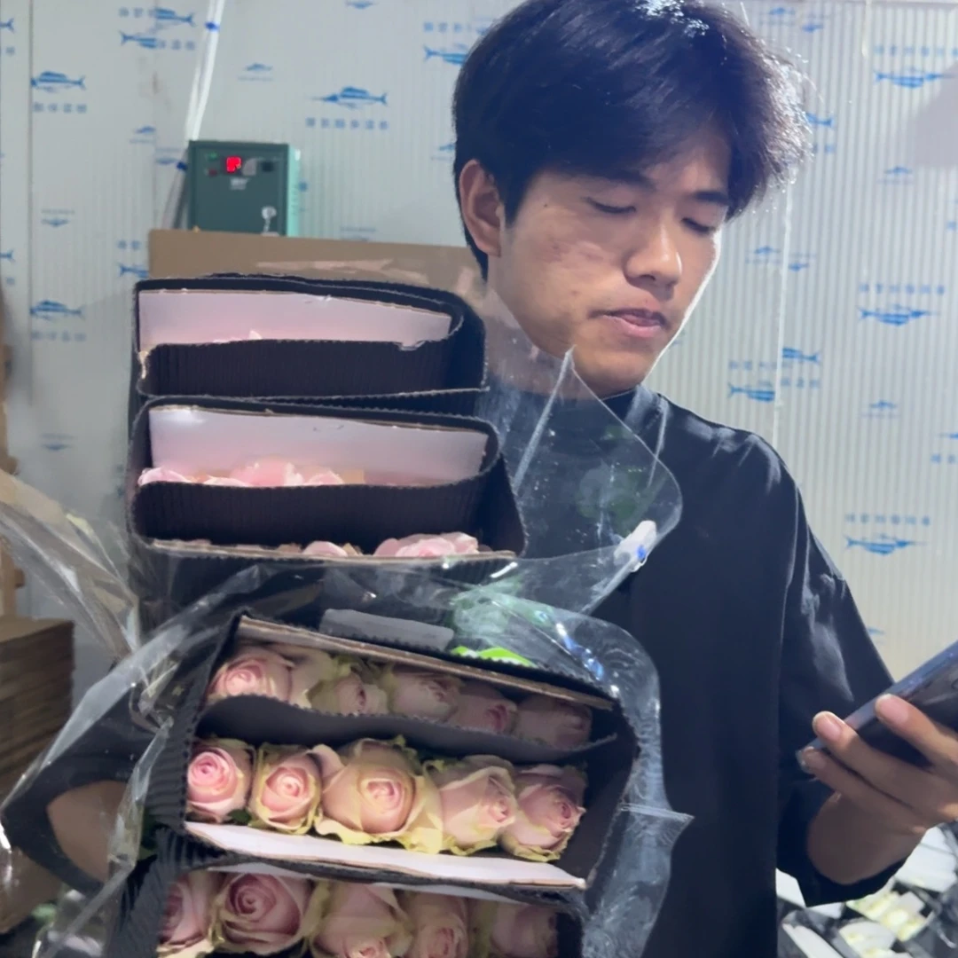 粉红2扎包邮价秒杀
