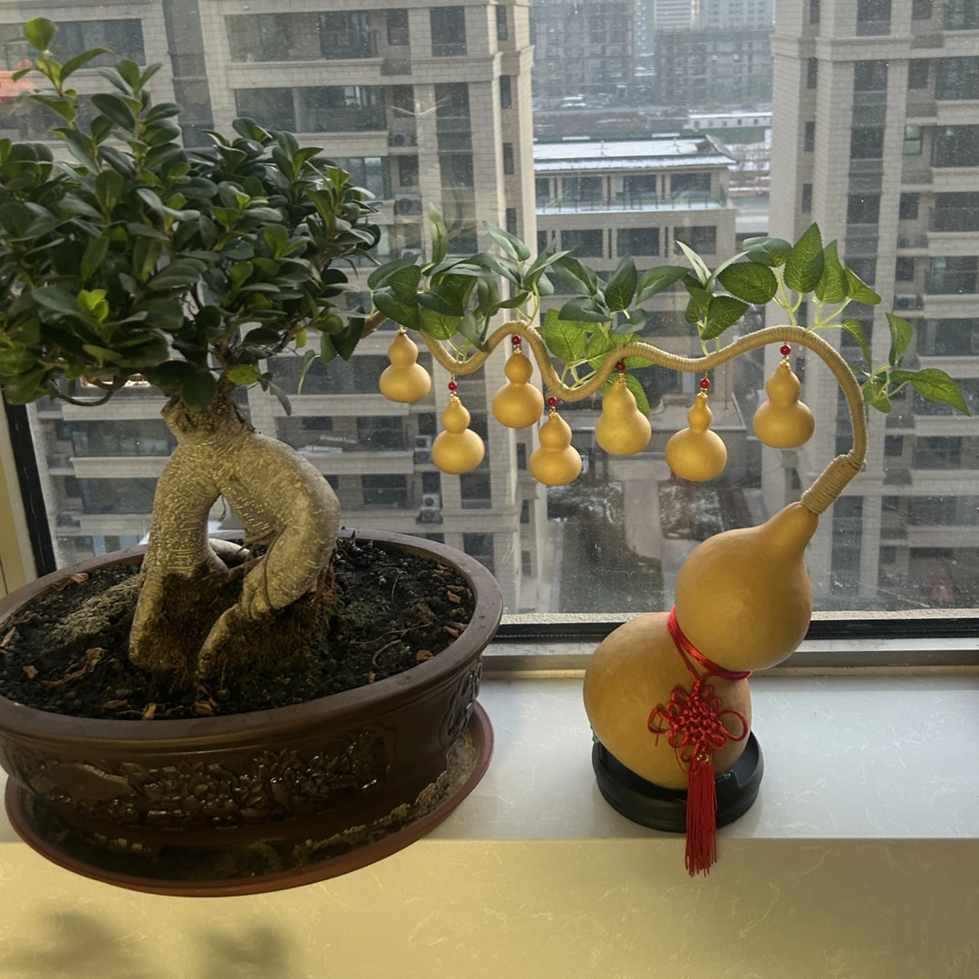 葫芦直播间专属链接,直播间选购,看清价格再拍,七个葫芦娃摆件