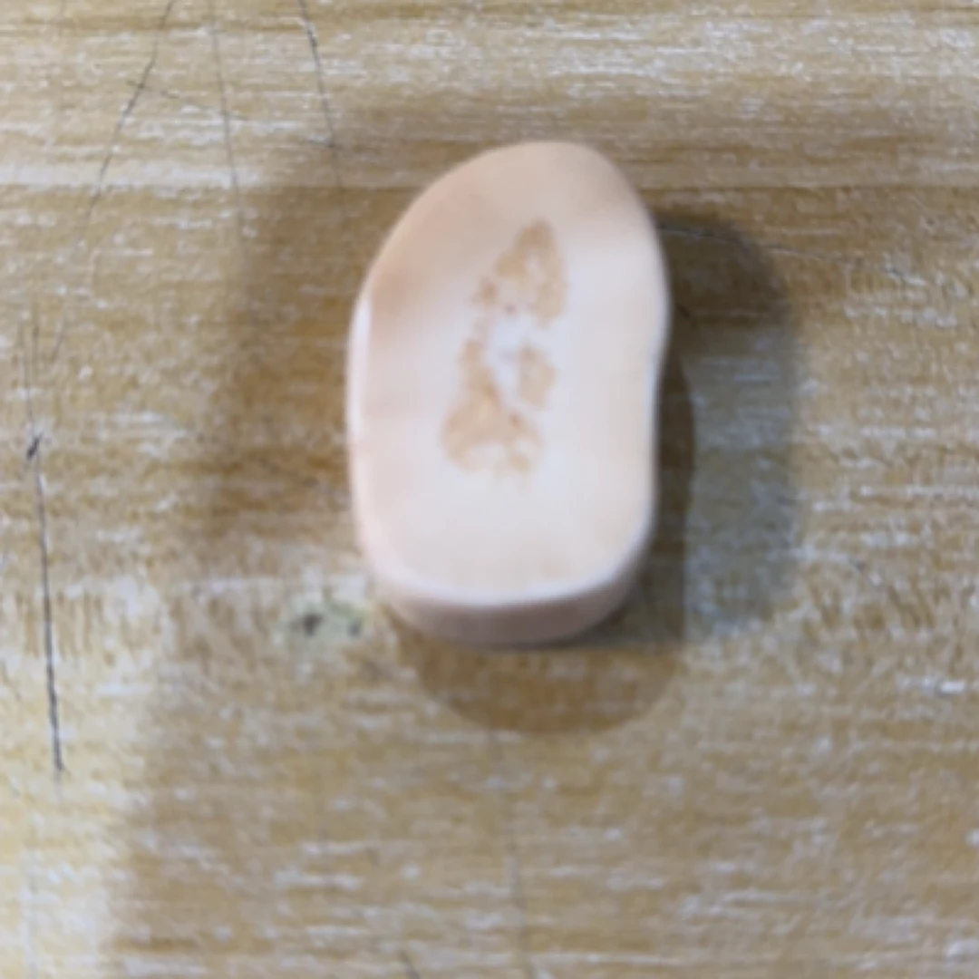 猛犸猛犸虬饼子 WT289