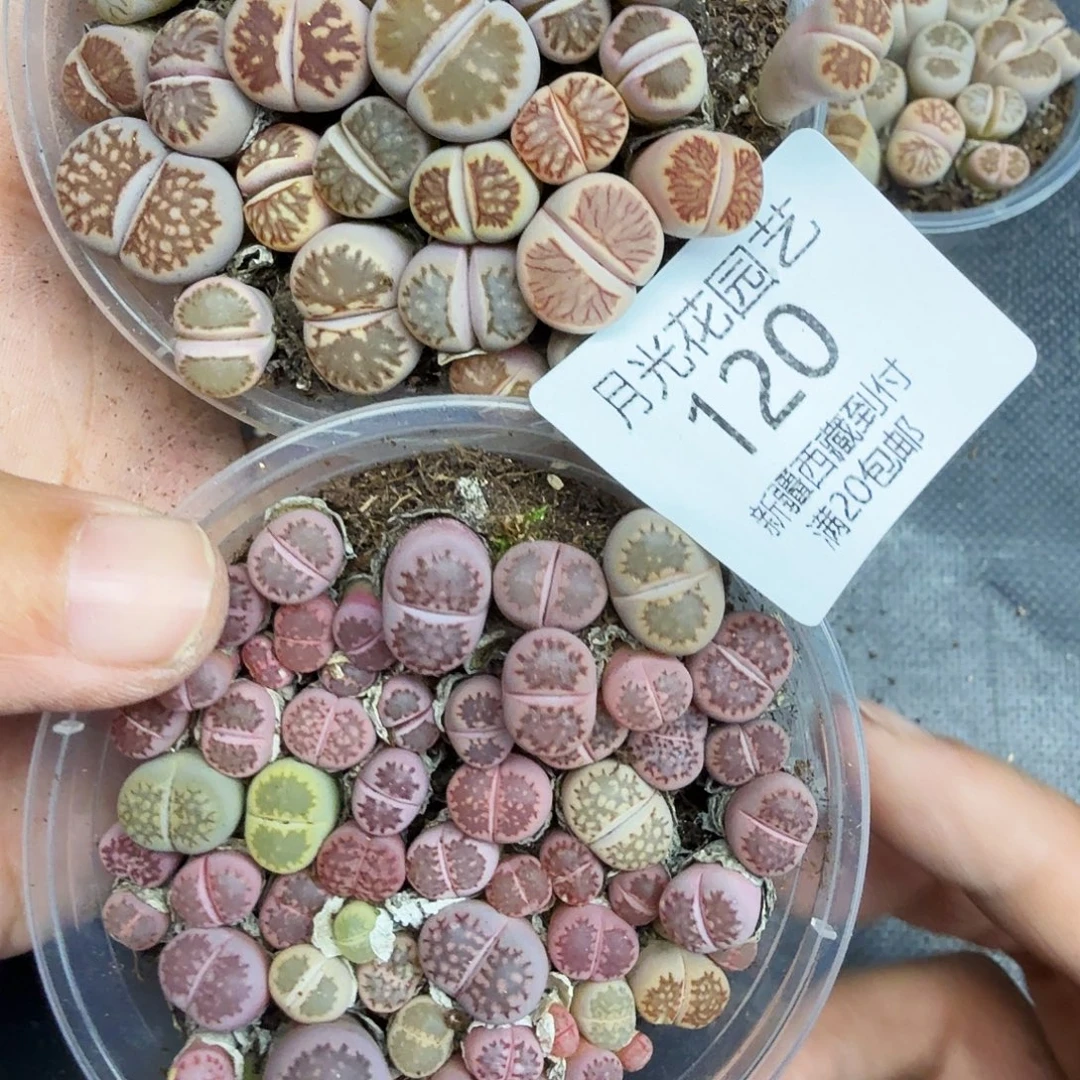 你好忙的嘛现在不接电也不理人120