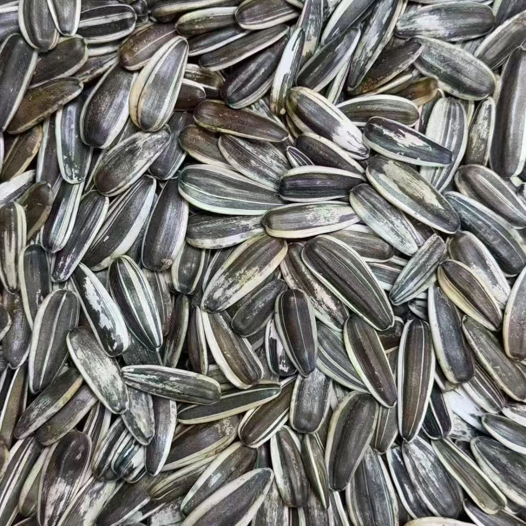 葵花籽炒瓜子原味大颗粒薄皮瓜子新鲜炒制休闲零食2