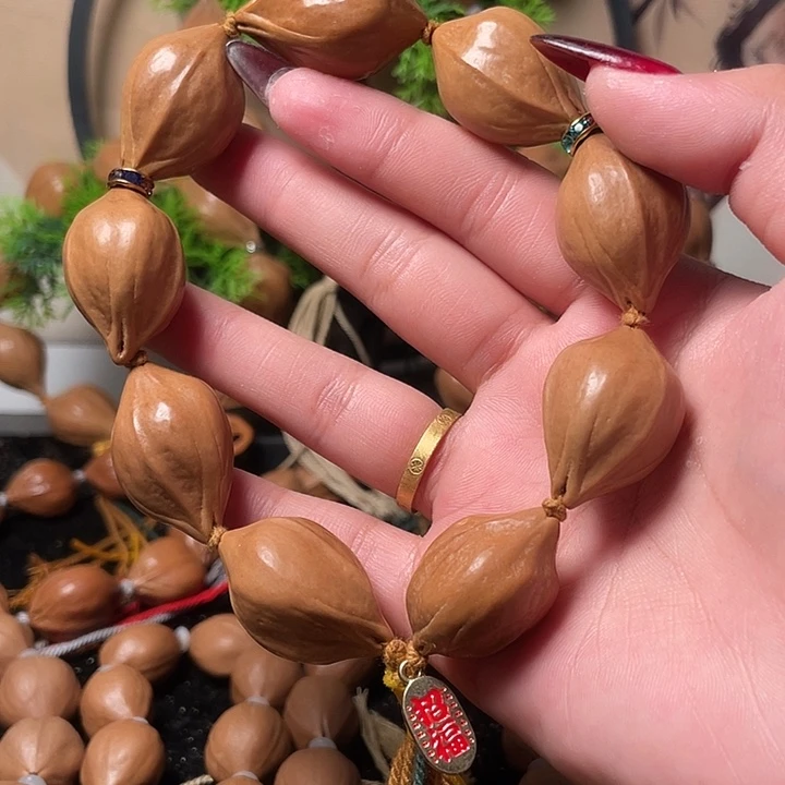 橄榄核手串/手链2.1鹦鹉手持9