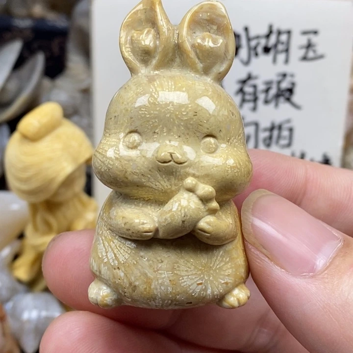 硅化珊瑚（珊瑚玉）未镶嵌颈饰