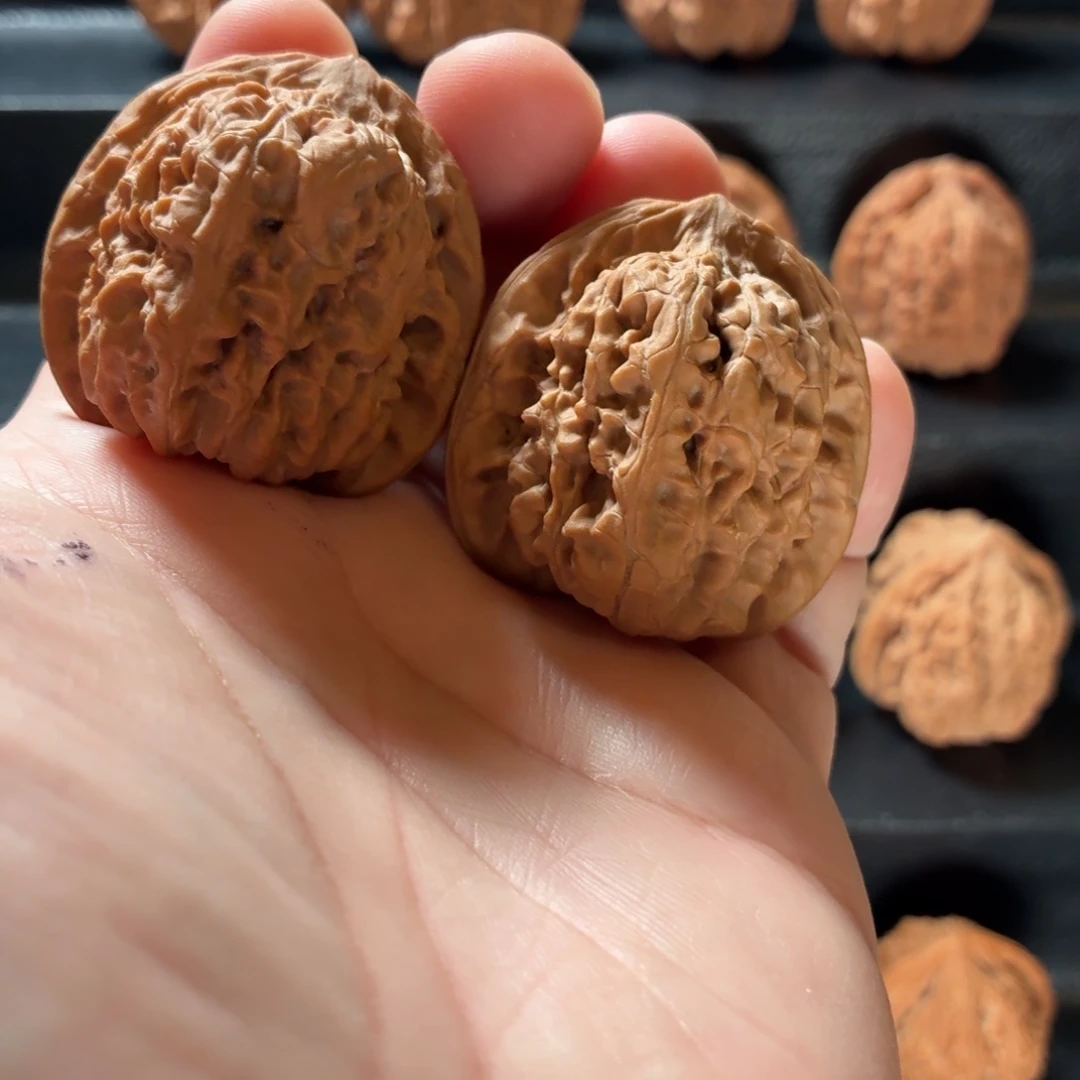 桃核把件野生原树老北京蛤蟆40