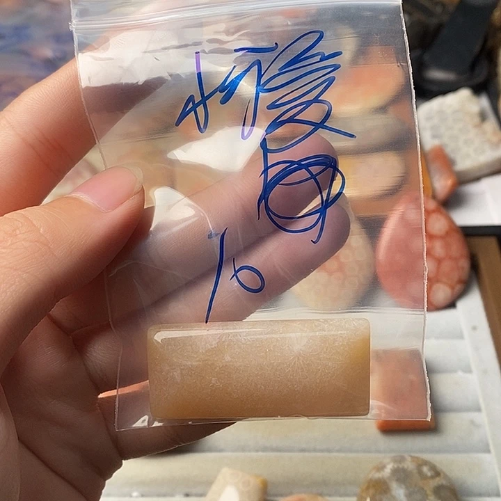 小***爱硅化珊瑚未镶嵌颈饰