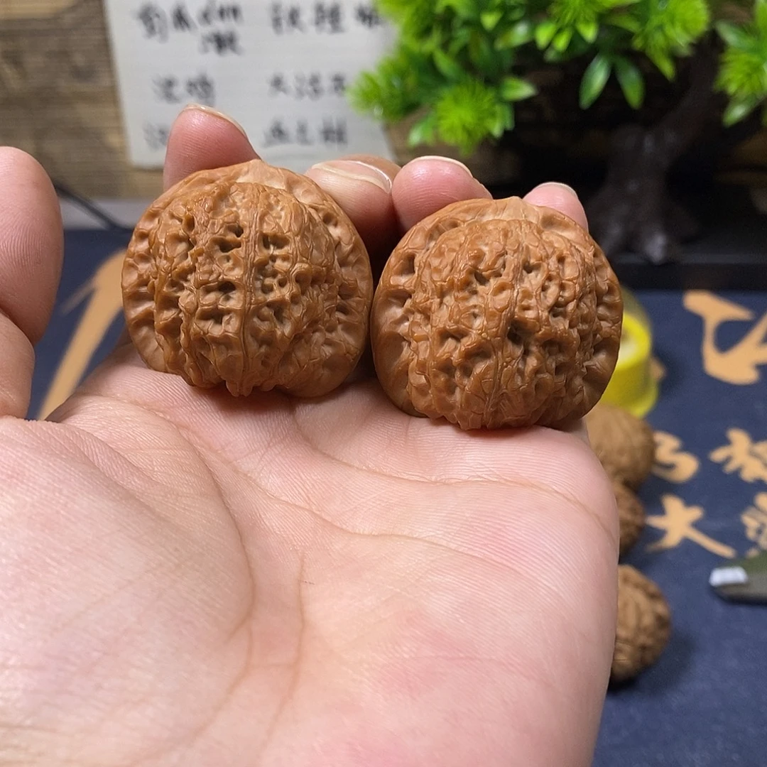 核桃40尺全品无修血麒麟，精品毕业对，12号
