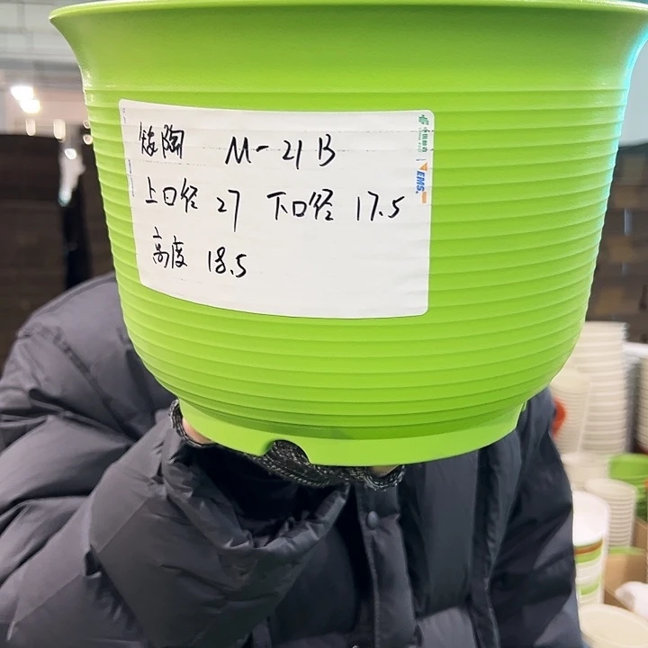 正品矮陶口27高18果绿色6个无托