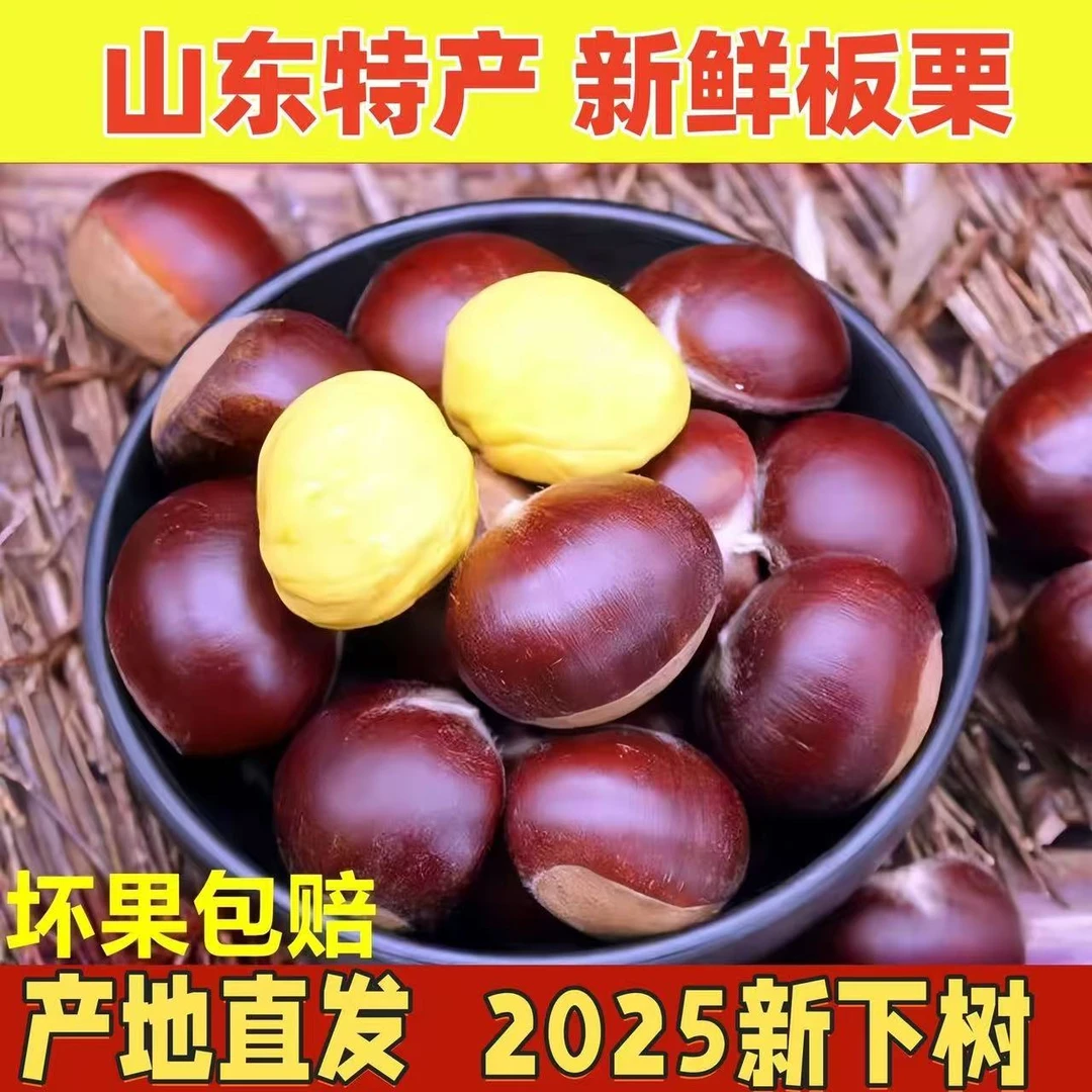 【2025秋季新果】山东老树板栗秋季新果香甜饱满整箱5斤坏果包赔