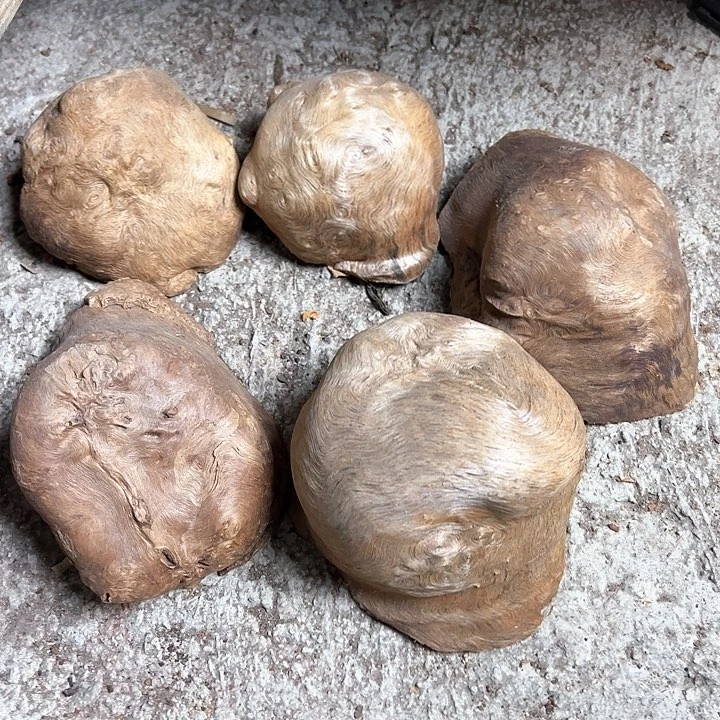 荔枝木没***15个荔枝木毛料