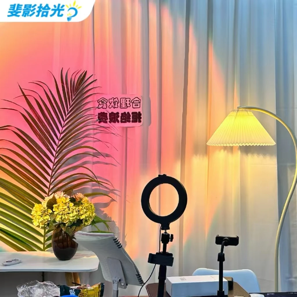 直播间背景窗帘布免打孔专用魔术贴网红女主播高级感优选阳台纱帘