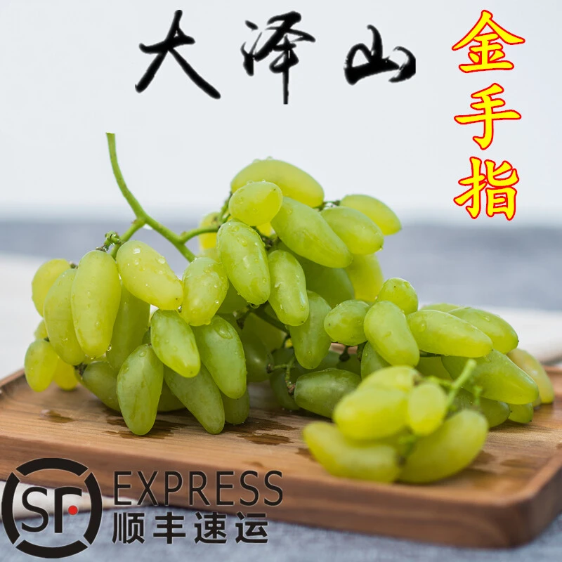 山东特产大泽山金手指葡萄美人指当季孕妇水果新鲜现摘顺丰包邮
