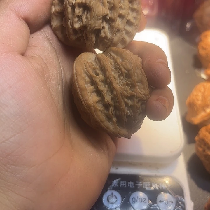 核桃堂上虎，全品45尺