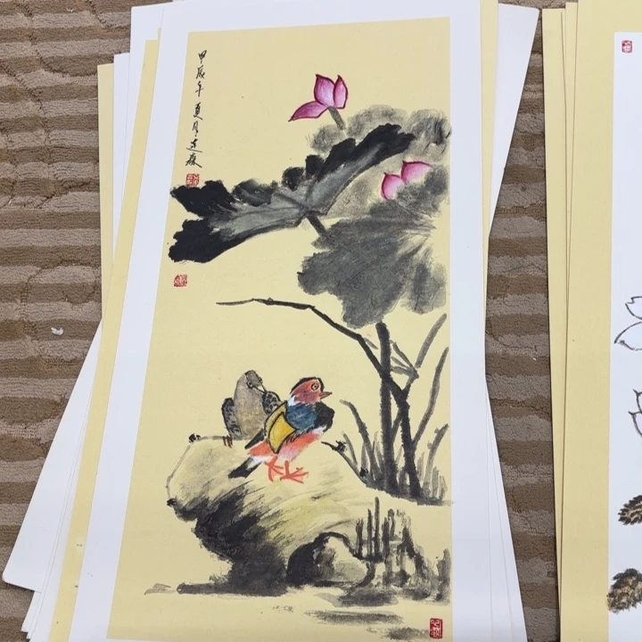 国画花鸟的故事与66.33