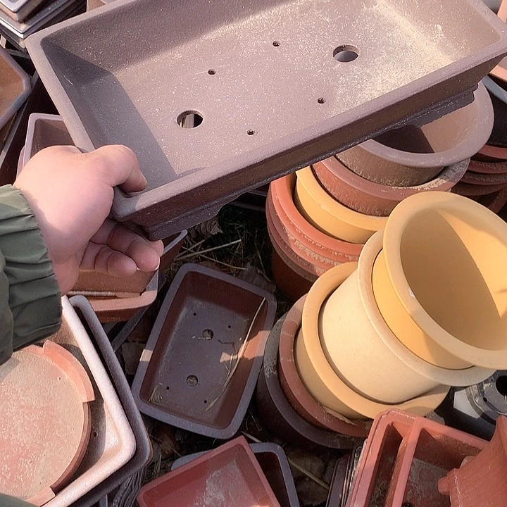 紫砂优秀奖不想看