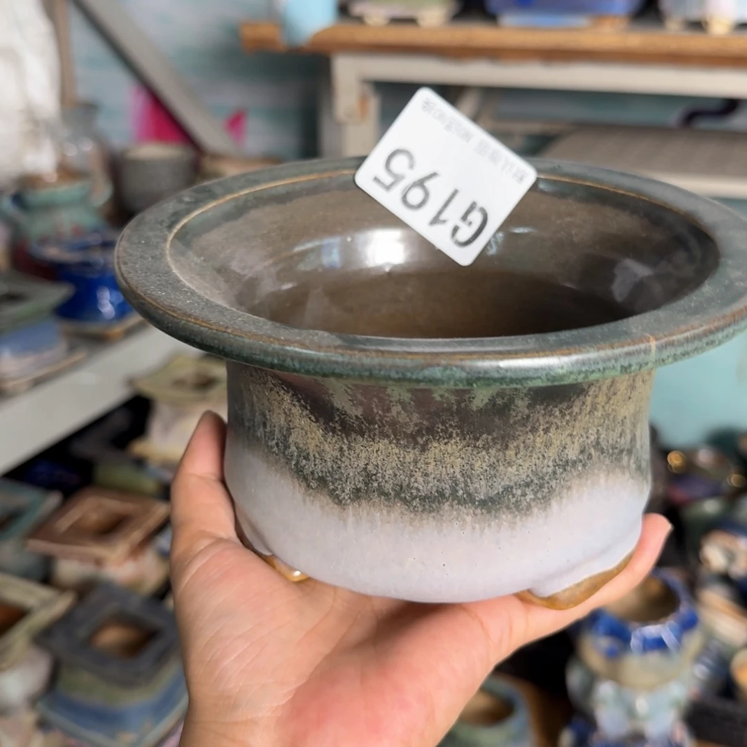 *****重庆小燕子欢迎大家195