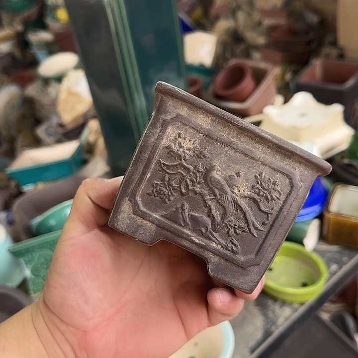 这一期太有意思咯嘛啊太