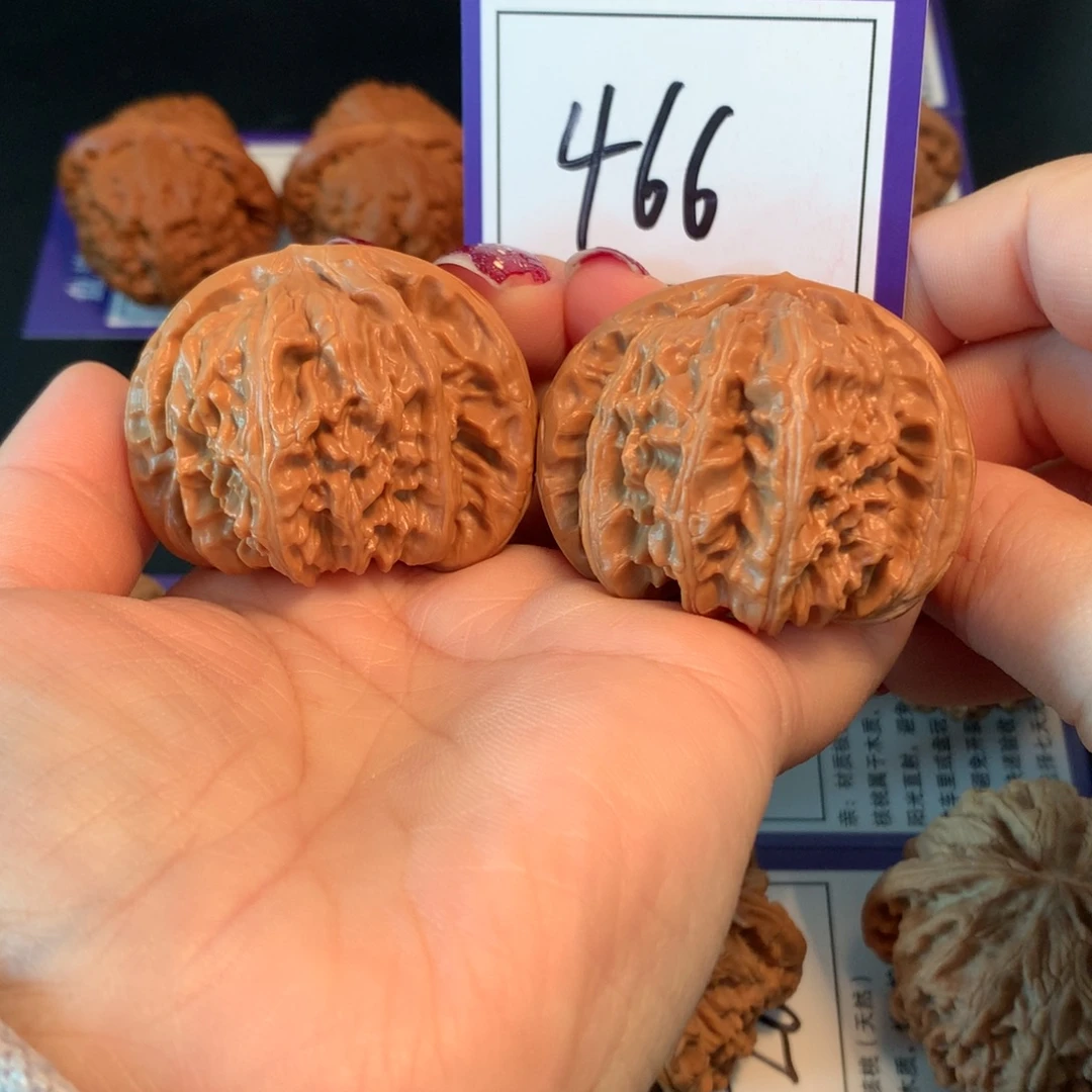 把件文玩核桃466白狮子4.5