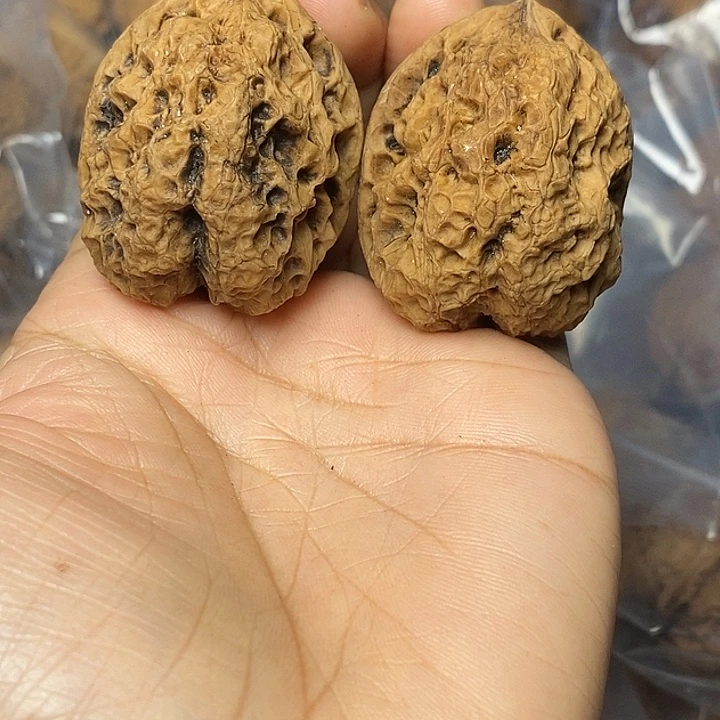 文玩核桃把件云南铁核桃21