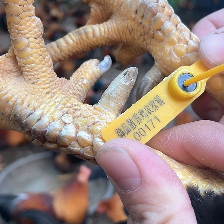 1中国大陆包装290天6.3斤