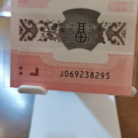 塑料蛇纪念钞永恒号 069238295