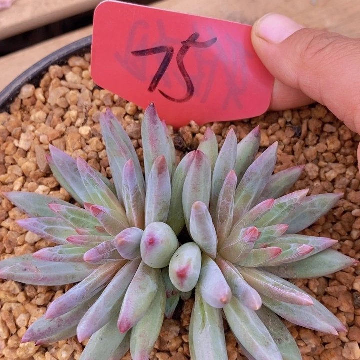 这些东西你就可以