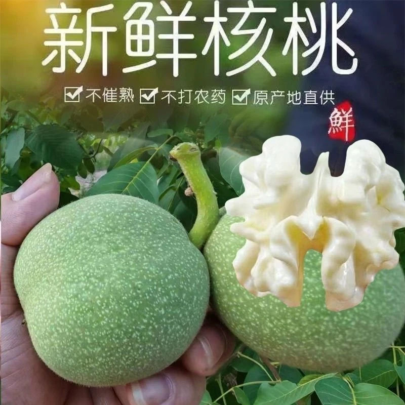 青皮嫩核桃新鲜带皮山核桃