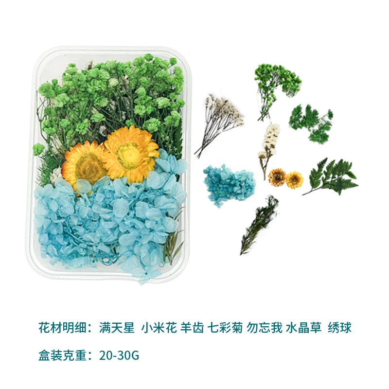 永生花diy花材干花材料包DIY相框团扇浮游香薰手工活动花艺课花环
