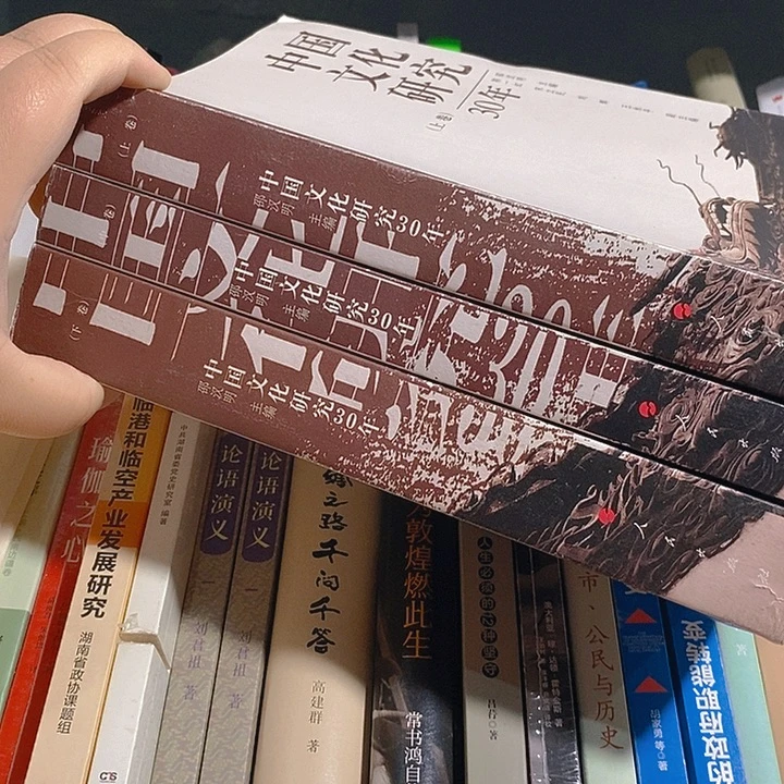 微瑕  文化研究三十年    全三卷