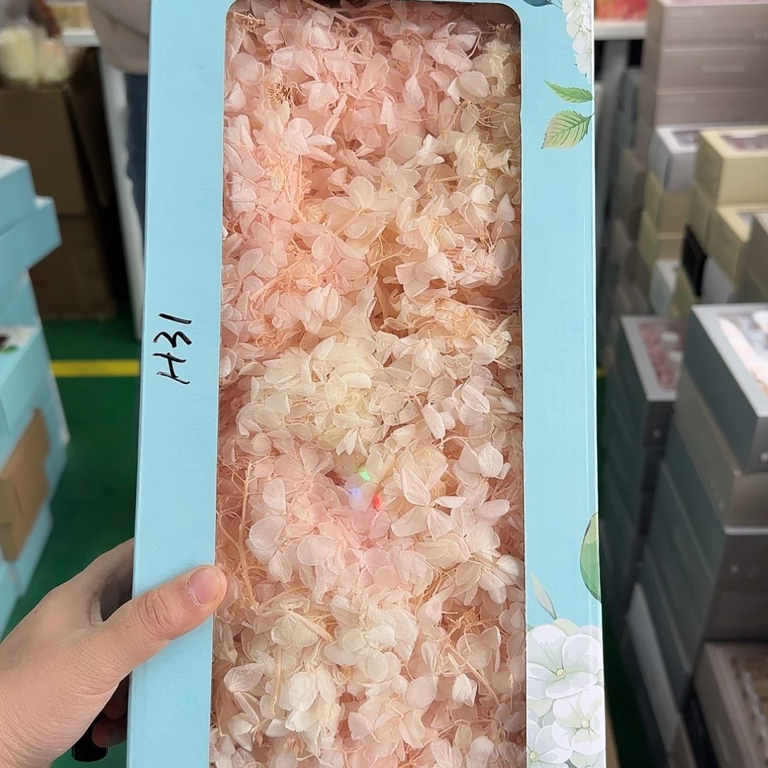 华***꧂H31号木绣球浅浅粉