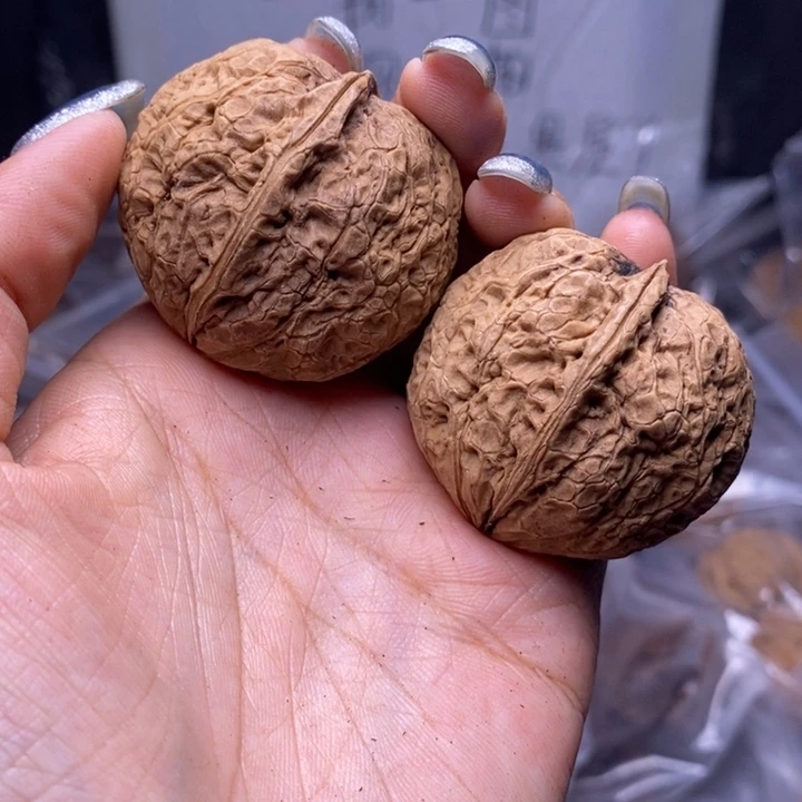 把件文玩核桃云南野生铁核桃118号42mm