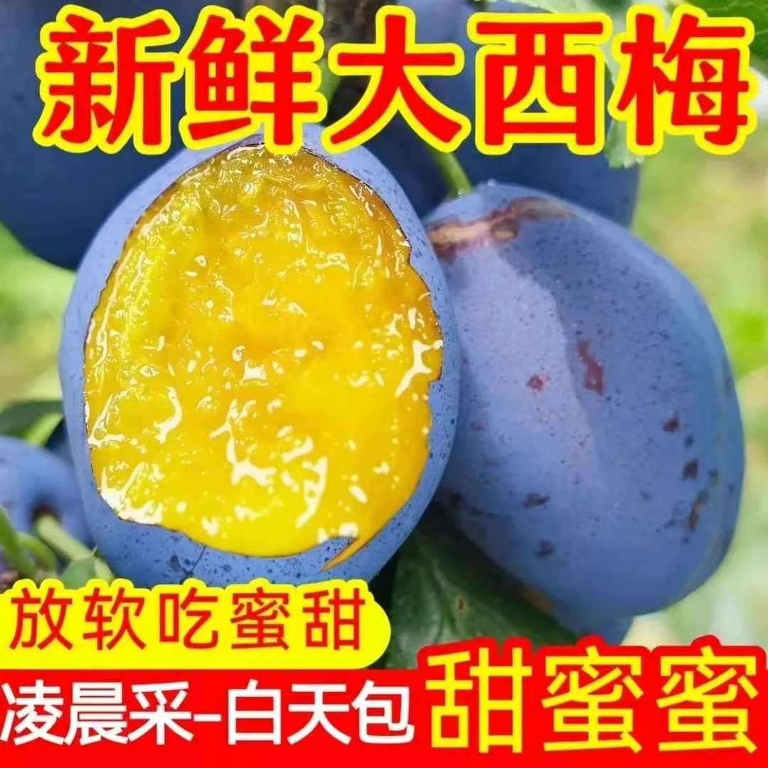 四川高山蜂糖大西梅新鲜正宗蓝蜜脱骨黄肉西梅整箱包邮