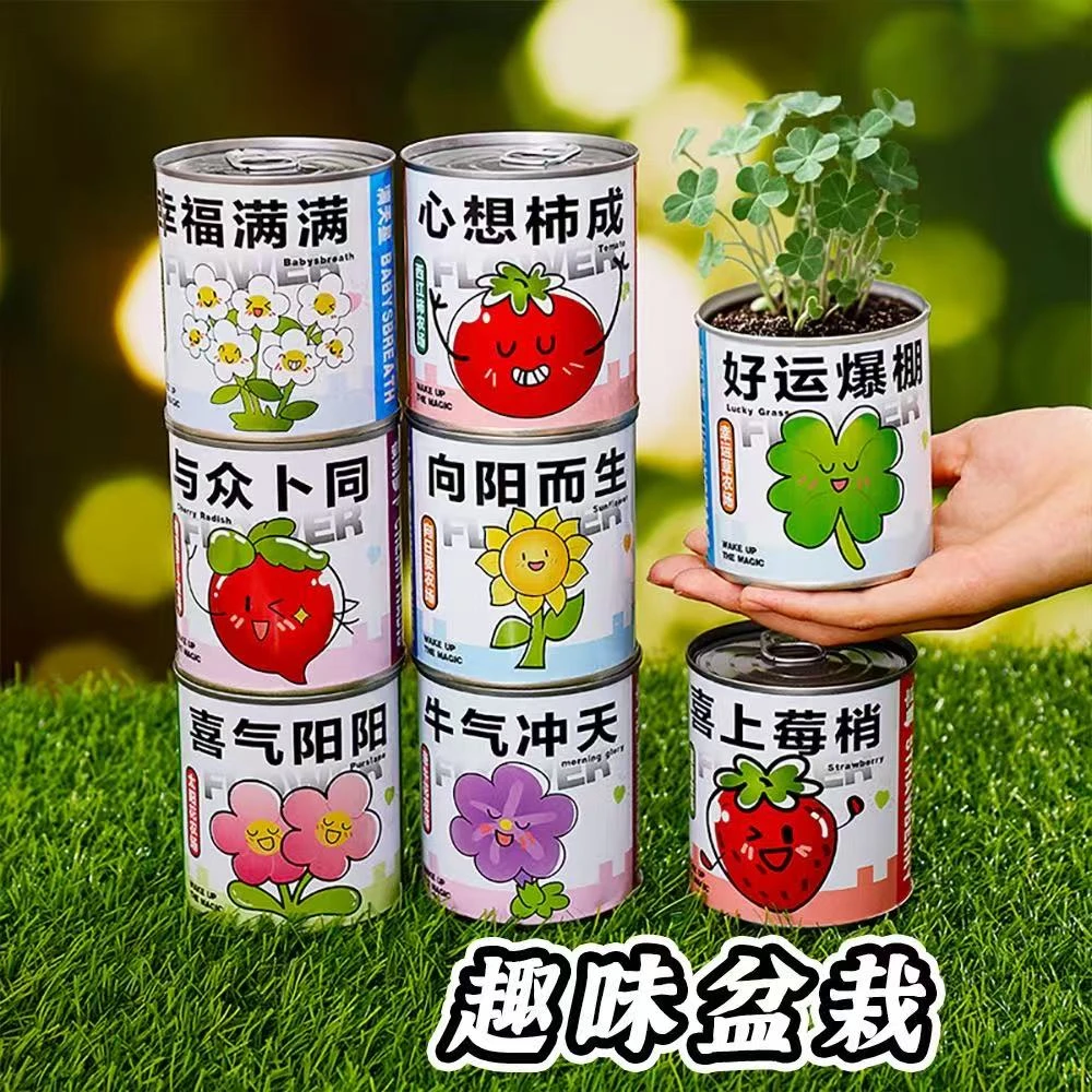 新疆西藏包邮拍一发八种植种子学生植物礼物礼品办公摆件趣味盆栽