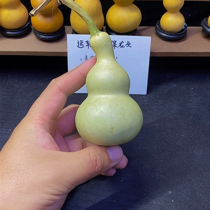 A****k哈哈哈哈哈哈哈哈哈