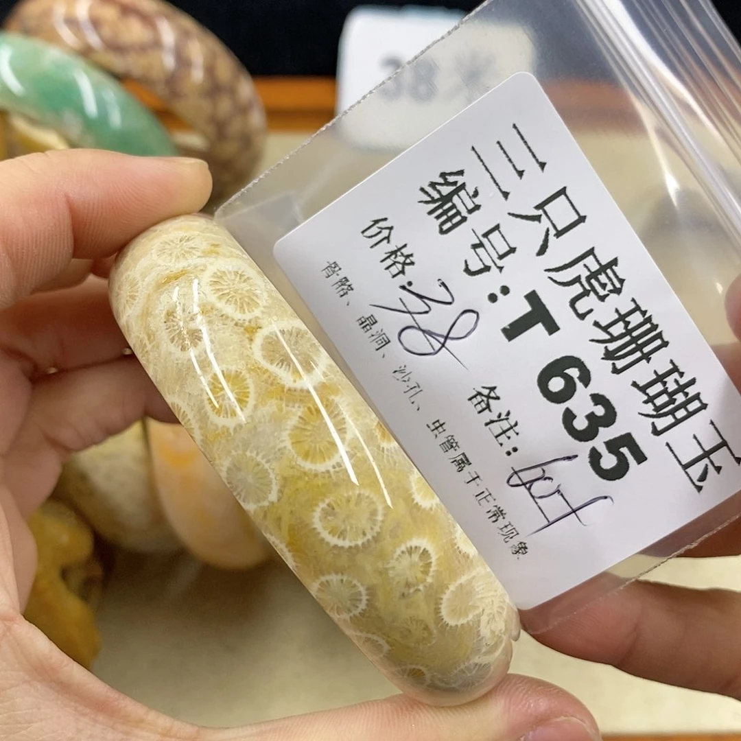 硅化珊瑚（珊瑚玉）1未镶嵌中*