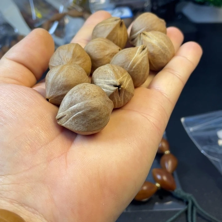 大***胖吊坠橄榄核橄榄核