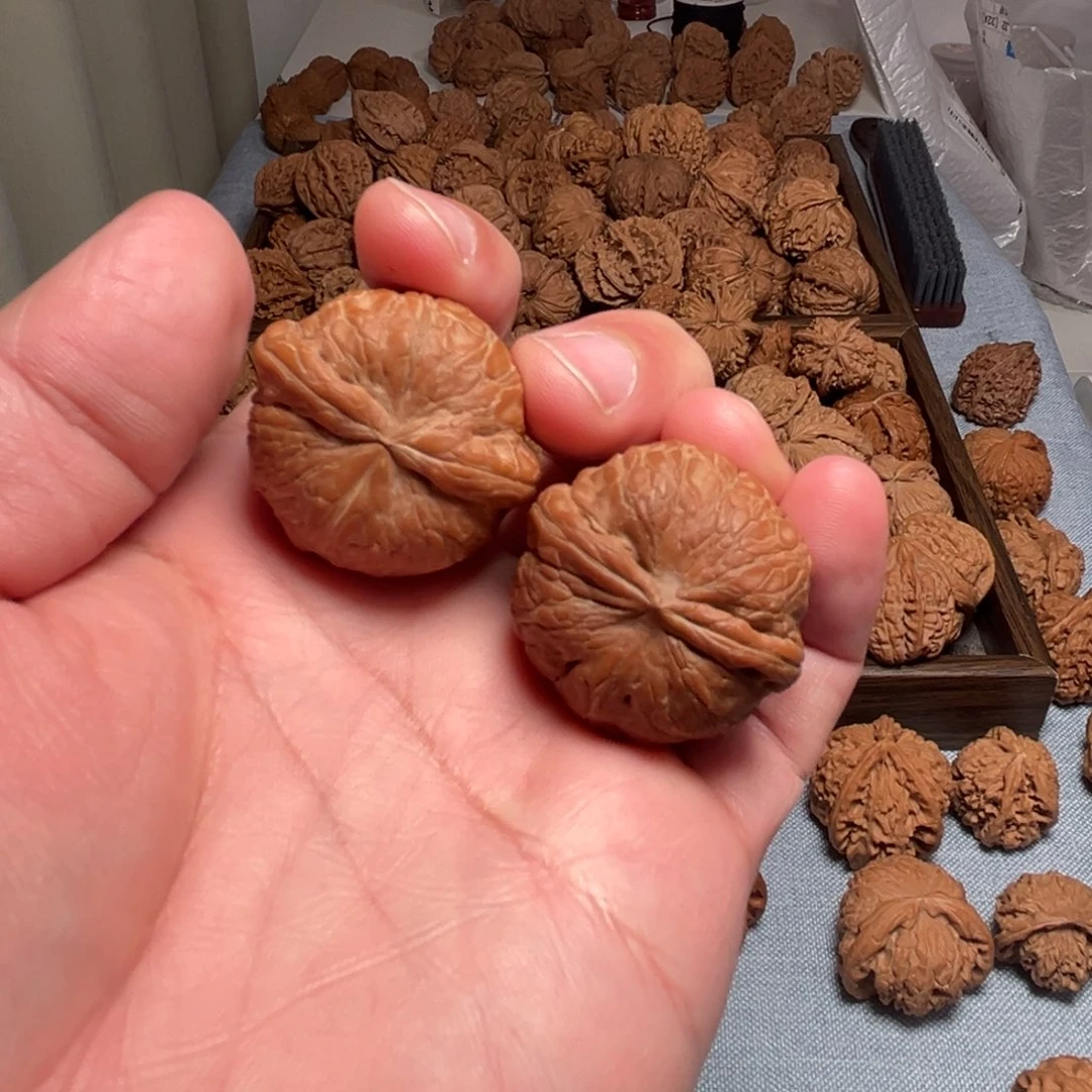 用***1核桃核桃核桃核桃核桃